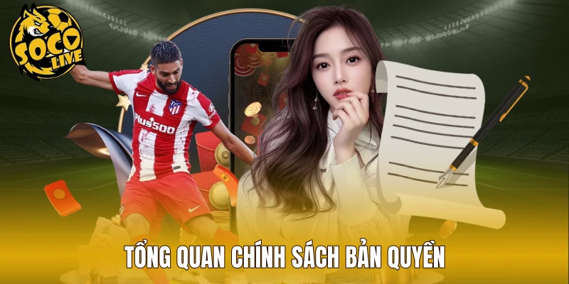 Tổng quan chính sách bản quyền được áp dụng tại nền tảng