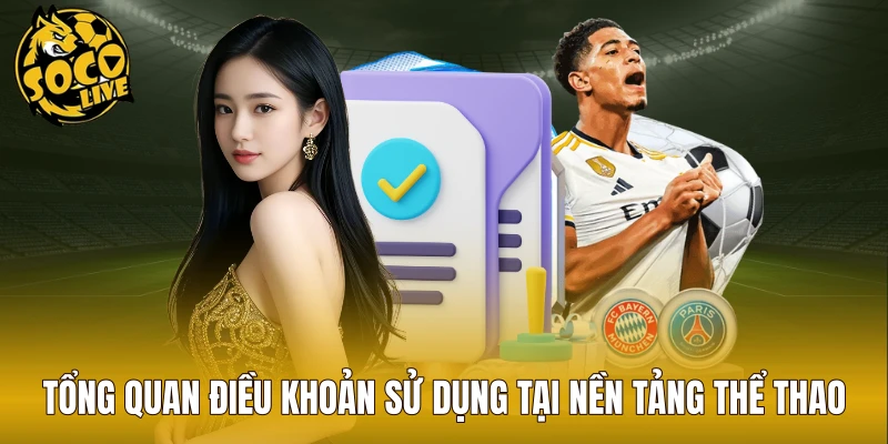 Tổng quan điều khoản sử dụng tại nền tảng thể thao